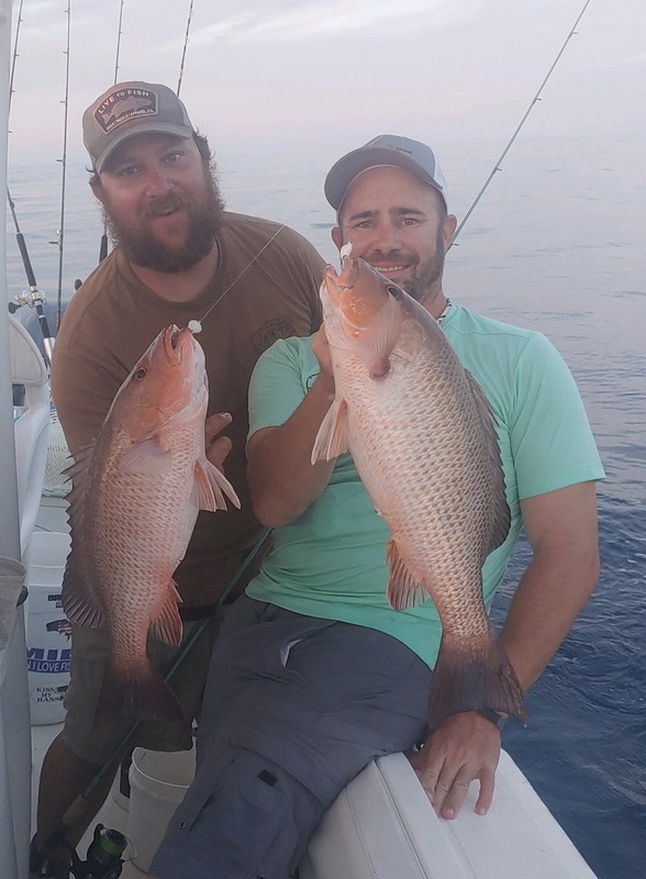 reel gulf predator fishing experience